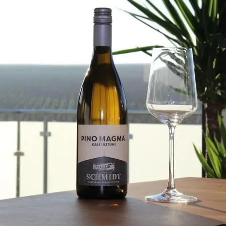 In Vogtsburg-bischoffingen With 1 Bedroom