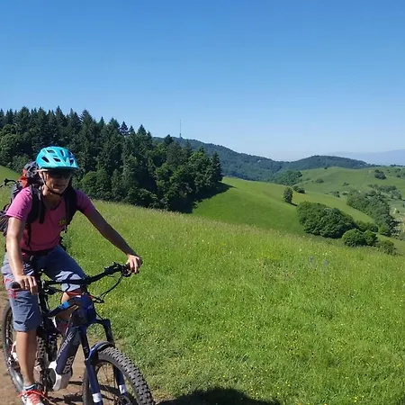 In Vogtsburg-bischoffingen With 1 Bedroom * Bischoffingen