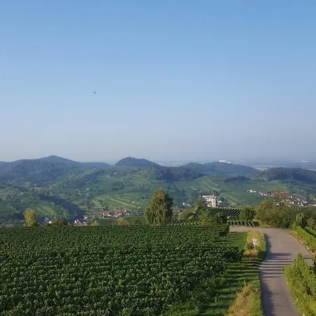 In Vogtsburg-bischoffingen With 1 Bedroom * Bischoffingen