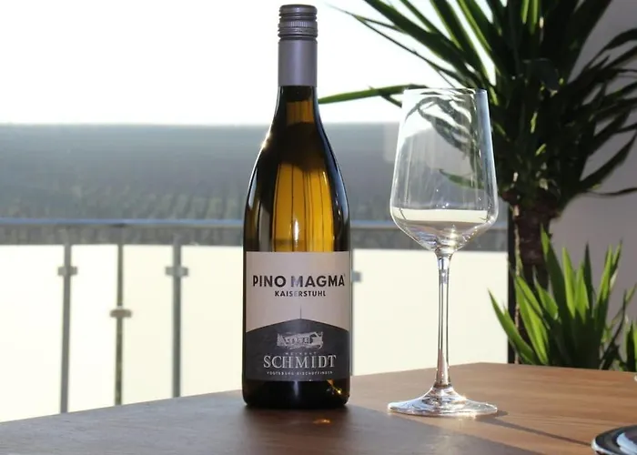 In Vogtsburg-bischoffingen With 1 Bedroom