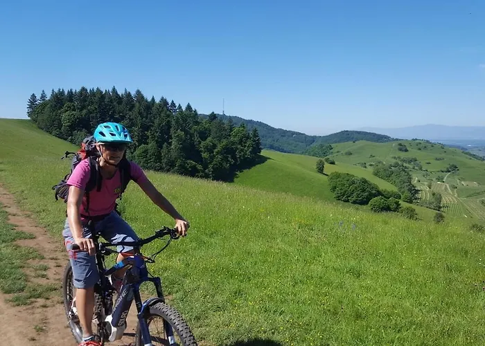 In Vogtsburg-bischoffingen With 1 Bedroom * Bischoffingen