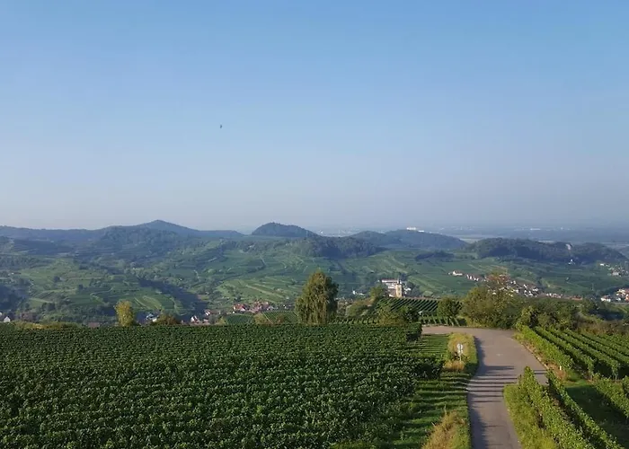 In Vogtsburg-bischoffingen With 1 Bedroom * Bischoffingen